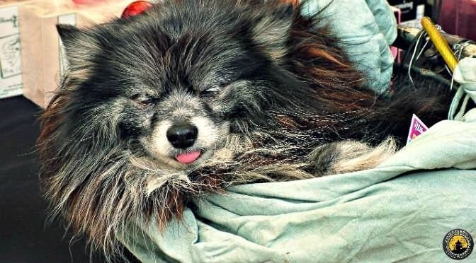 otroenmoto-Francia2014