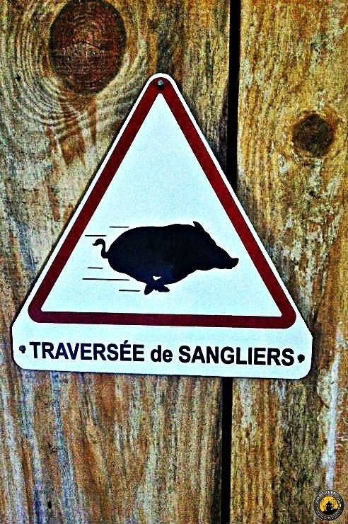 otroenmoto-Francia2014