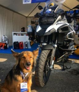 BMW Motorrad Days 2018. Floky