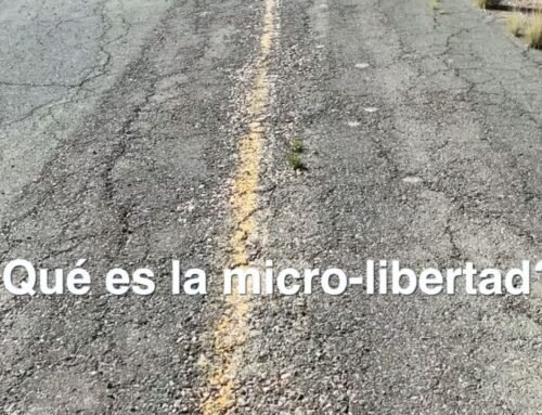 ¿Qué es la micro-libertad?